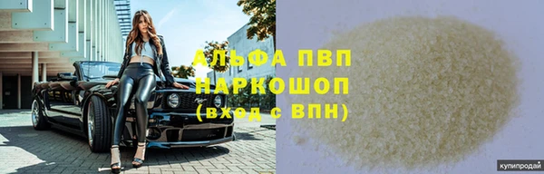 ПСИЛОЦИБИНОВЫЕ ГРИБЫ Горно-Алтайск