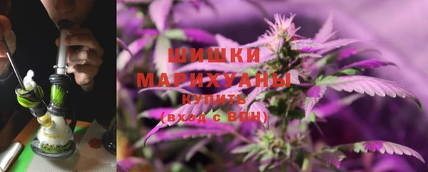 ПСИЛОЦИБИНОВЫЕ ГРИБЫ Горно-Алтайск