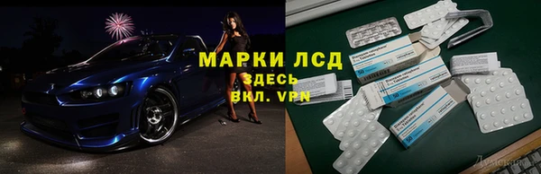 ПСИЛОЦИБИНОВЫЕ ГРИБЫ Горно-Алтайск