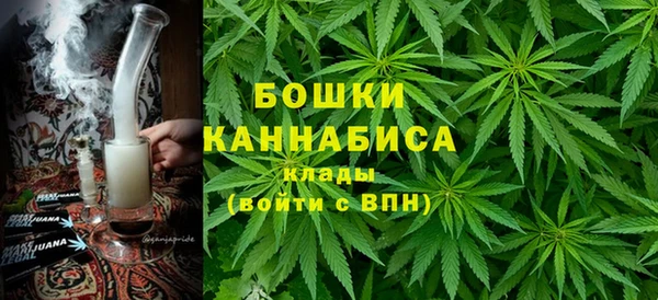 ПСИЛОЦИБИНОВЫЕ ГРИБЫ Горно-Алтайск